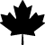 Canadian Trade name